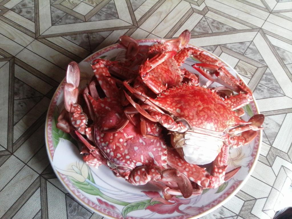 瑞迪家庭旅馆 尼甘布 外观 照片