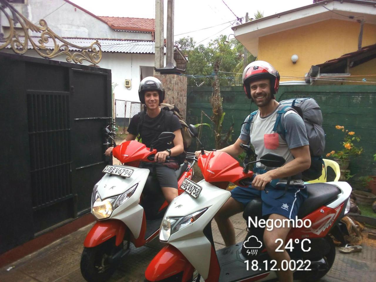 瑞迪家庭旅馆 尼甘布 外观 照片